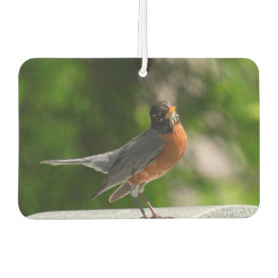 Niedlicher Robin Autolufterfrischer