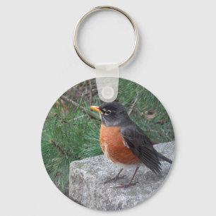 Niedlicher Robin im Garden Foto Schlüsselanhänger