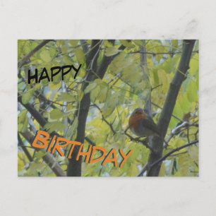 Niedlicher Robin in Tree Happy Birthday Postcard Postkarte