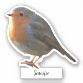 Niedlicher Robin-Vogel-personalisierter Schnitt Aufkleber