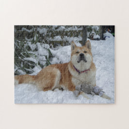 Niedlicher roter Japaner Akita im Schnee mit Puzzle