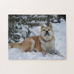 Niedlicher roter Japaner Akita im Schnee mit Puzzle