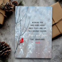 Niedlicher roter Kardinal und Schnee Weihnachten