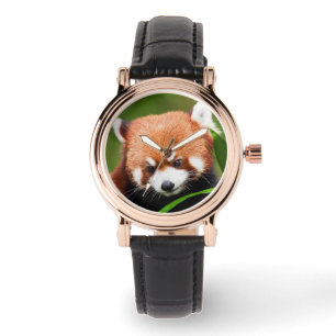 Niedlicher Roter Panda Armbanduhr