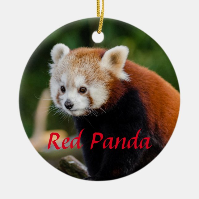 Niedlicher Roter Panda-Feuerfuchs Keramik Ornament (Vorne)