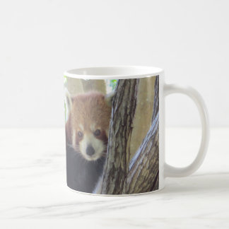 Niedlicher roter Panda Kaffeetasse