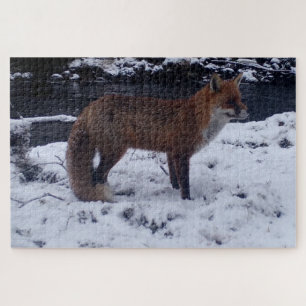 Niedlicher Rotfuchs in verschneiter Waldszene Wild Puzzle