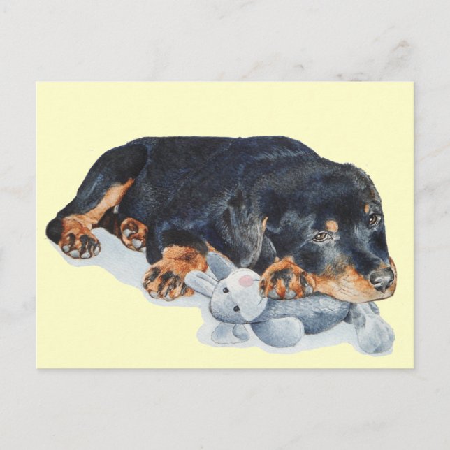 niedlicher Rottweiler-Welpenhund, der Teddy-Bärenk Postkarte (Vorderseite)
