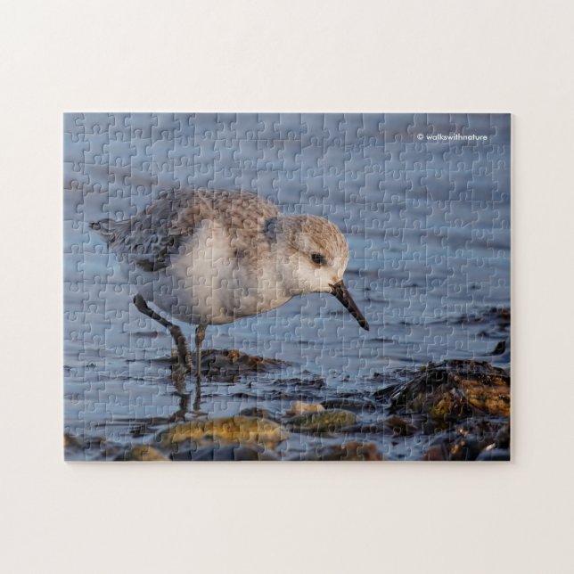 Niedlicher Sandpiper Spaziergang durch die Bucht Puzzle (Horizontal)
