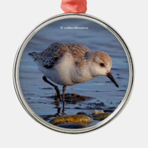 Niedlicher Sandpiper Wandern am Winter Beach Ornament Aus Metall