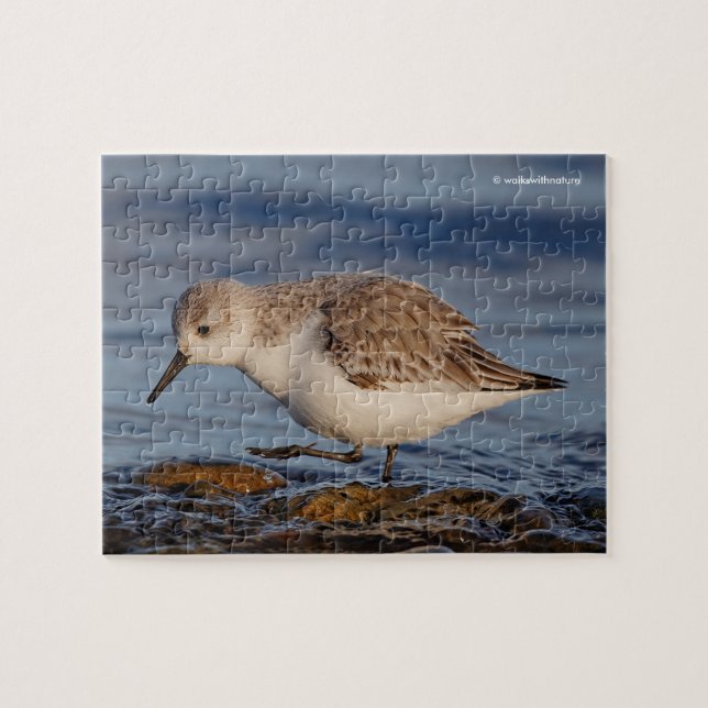 Niedlicher Sandpiper Wandern am Winter Beach Puzzle (Horizontal)