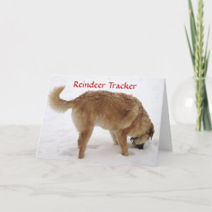 Niedlicher Santa & Rentier-Such- und Rettungshund Feiertagskarte