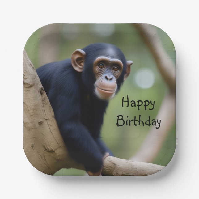 Niedlicher Schimpanze Geburtstag Pappteller (Vorderseite)