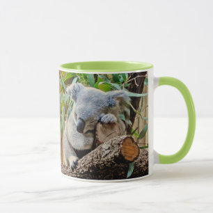 Niedlicher Schlafenkoala-Bär Tasse