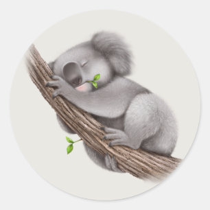 Niedlicher, schläfriger Koala-Bär Runder Aufkleber