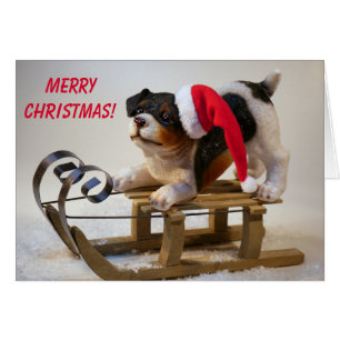 Niedlicher Schlittenhund Weihnachten