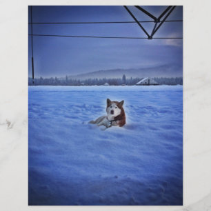 niedlicher Schneehund