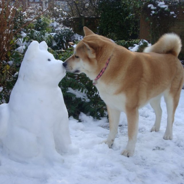 niedlicher Schneemann akita Hund Puzzle (Von Creator hochgeladen)