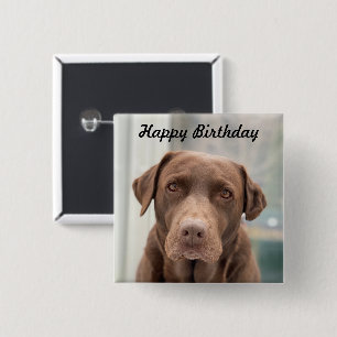 niedlicher Schokolade Labrador Happy Birthday Button