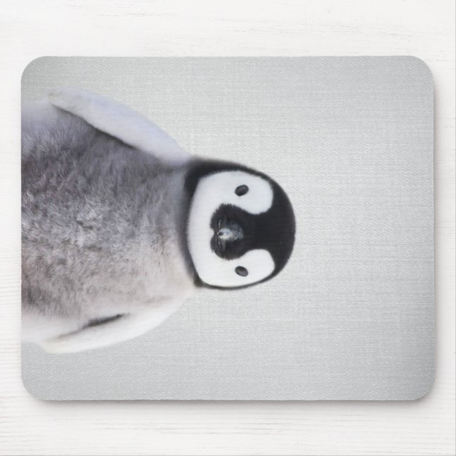 Niedlicher Schwarz-Weiß-Baby-Pinguin Mousepad (Vorne)