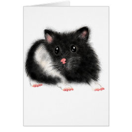 Niedlicher Schwarz-weißer syrischer Hamster