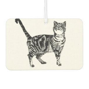 Niedlicher Schwarz-weißer Tabby Cat Cat Car Air Fr Autolufterfrischer