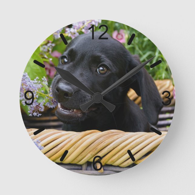 Niedlicher schwarzer Labrador Retriever Dog Welpe  Runde Wanduhr (Vorderseite)