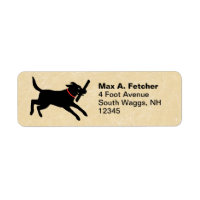Niedlicher Schwarzer Labrador-Retriever läuft | Fu