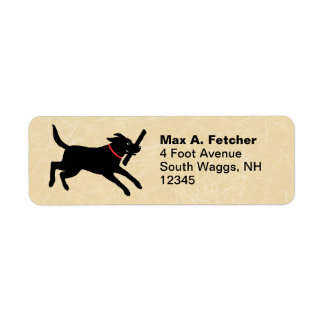 Niedlicher Schwarzer Labrador-Retriever läuft | Fu