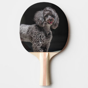 Niedlicher schwarzer Poodle Hund Kopf Lächeln Tischtennis Schläger