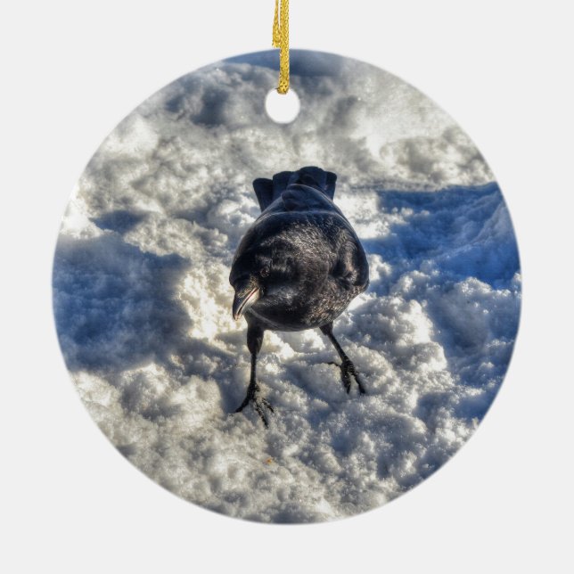 Niedlicher Schwarzer Rabe im Schnee-Foto Keramikornament (Hinten)