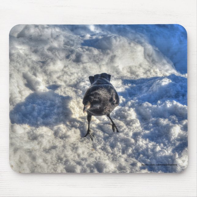 Niedlicher Schwarzer Rabe im Schnee-Foto Mousepad (Vorne)