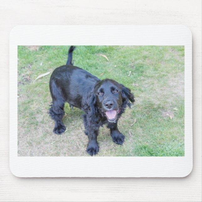 Niedlicher Schwarzer Welpe Mousepad (Vorne)