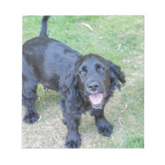 Niedlicher Schwarzer Welpe Notizblock