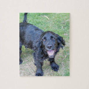 Niedlicher Schwarzer Welpe Puzzle