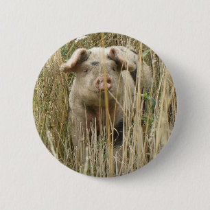 Niedlicher Schweinekopf Button