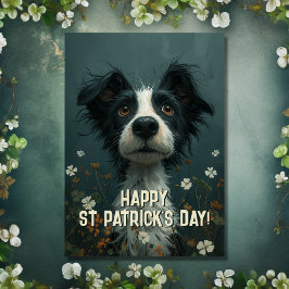 Niedlicher Scruffy Hund und Kleeblätter St Patrick Karte