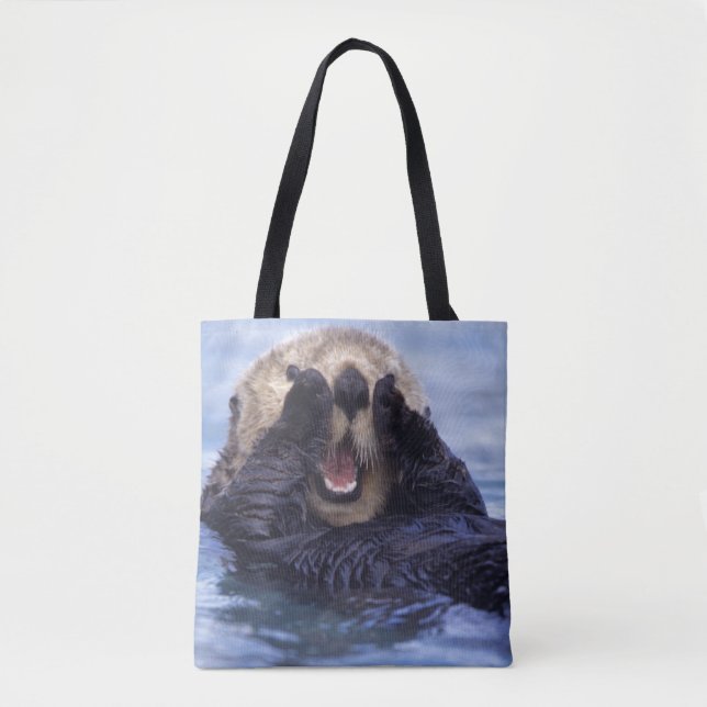 Niedlicher Seeotter | Alaska, USA (Vorderseite)
