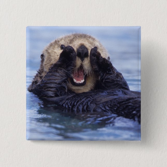 Niedlicher Seeotter | Alaska, USA Button (Vorderseite)