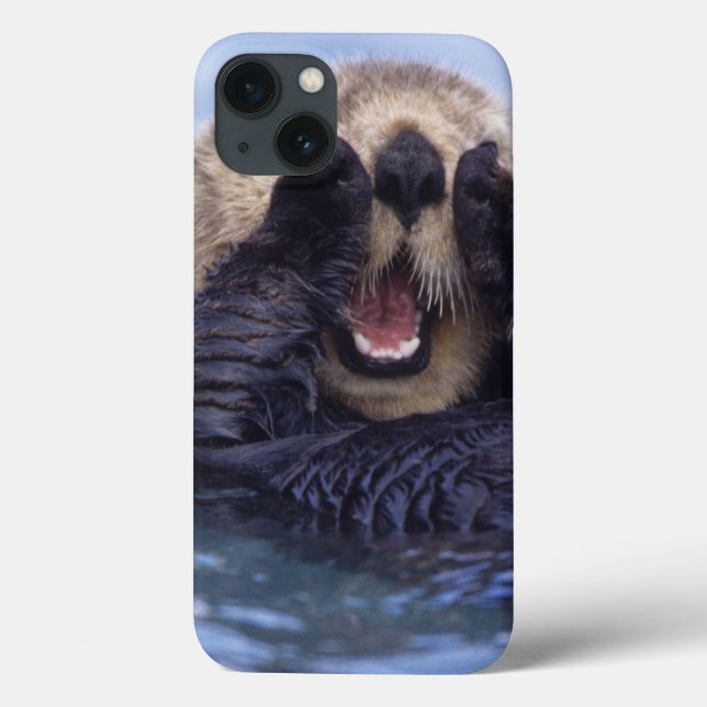 Niedlicher Seeotter | Alaska, USA Case-Mate iPhone Hülle (Rückseite)