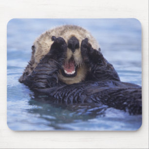 Niedlicher Seeotter   Alaska, USA Mousepad