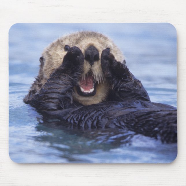Niedlicher Seeotter | Alaska, USA Mousepad (Vorne)