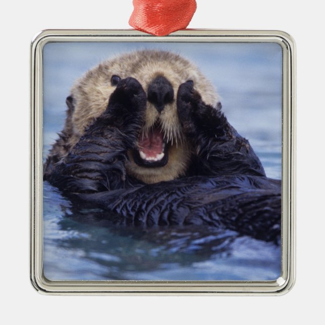 Niedlicher Seeotter | Alaska, USA Ornament Aus Metall (Vorne)