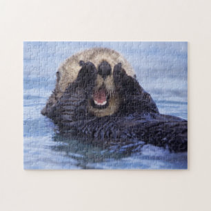 Niedlicher Seeotter   Alaska, USA Puzzle
