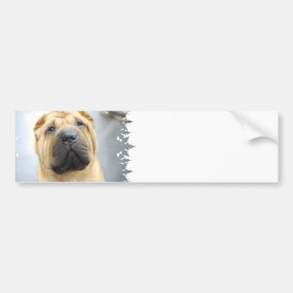 Niedlicher Shar Pei Autoaufkleber