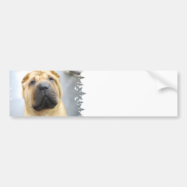 Niedlicher Shar Pei Autoaufkleber (Vorne)