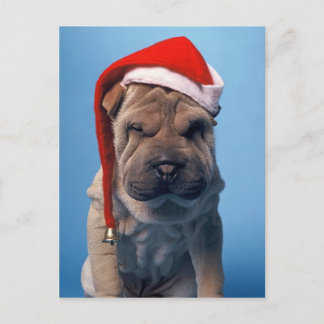 Niedlicher Shar Pei Welpe mit Weihnachtshut Feiertagspostkarte