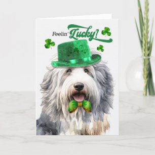 Niedlicher Sheepdog Feelin' Lucky St Patrick's Day Feiertagskarte