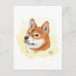 Niedlicher Shiba Inu Hund Zeichnend Postkarte