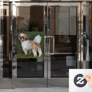 Niedlicher Shih Tzu Fensteraufkleber